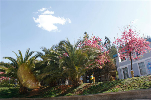 云南省林业高级技工学校2022年(初中起点)招生简章(图7)