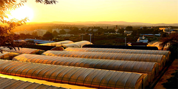 云南农业职业技术学院五年制大专招生简章