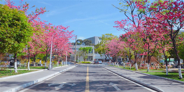 云南体育运动职业技术学院五年制大专招生简章 云南体育运动职业技术学院五年制大专招生简章