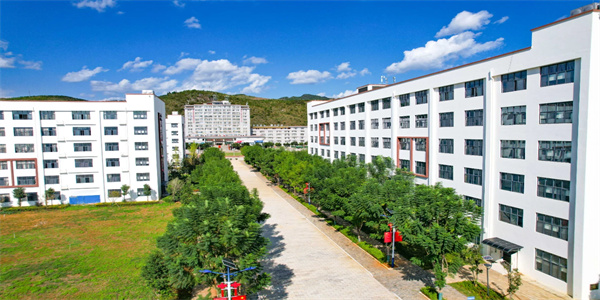 云南三鑫职业技术学院五年制大专招生简章 云南三鑫职业技术学院五年制大专招生简章