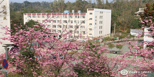 云南林业职业技术学院五年制大专招生简章 云南林业职业技术学院五年制大专招生简章