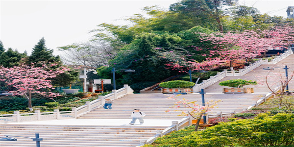 云南财经职业学院五年制大专招生简章