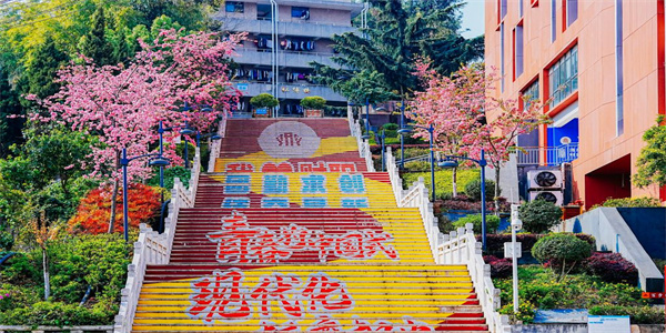 云南财经职业学院五年制大专招生简章