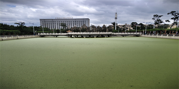 曲靖航空学校招生简章