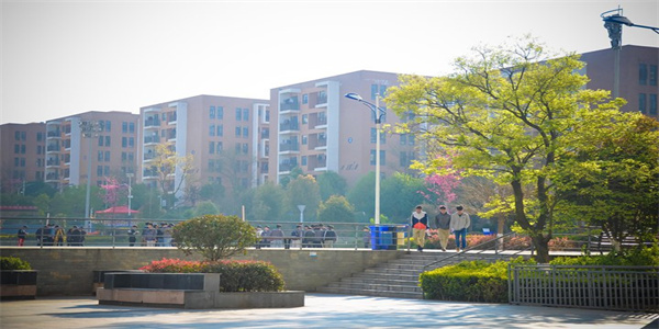 云南工程职业学院五年制大专招生简章