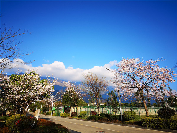 大理农林职业技术学院2021年五年一贯制大专招生简章(图5)